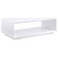 Paseo 2-piece Coffee and End Table Set White High Gloss