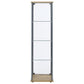 Bellatrix 3-shelf Clear Glass Curio Cabinet Mango